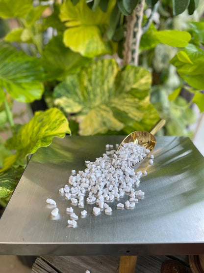 Leaf Labs Coarse Perlite